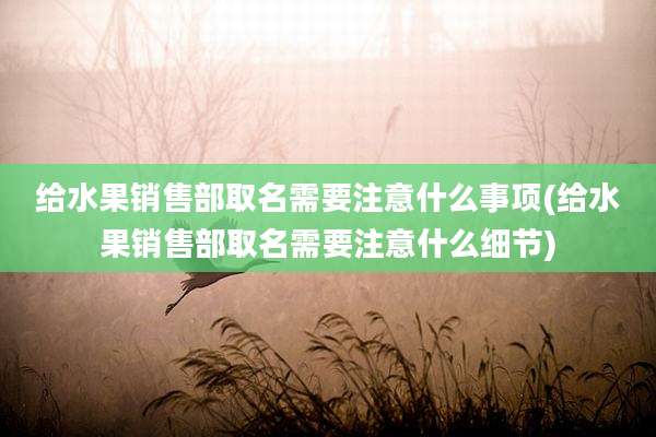给水果销售部取名需要注意什么事项(给水果销售部取名需要注意什么细节)