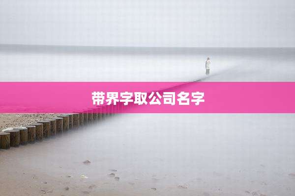 带界字取公司名字