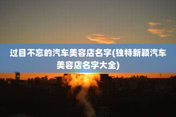 过目不忘的汽车美容店名字(独特新颖汽车美容店名字大全)