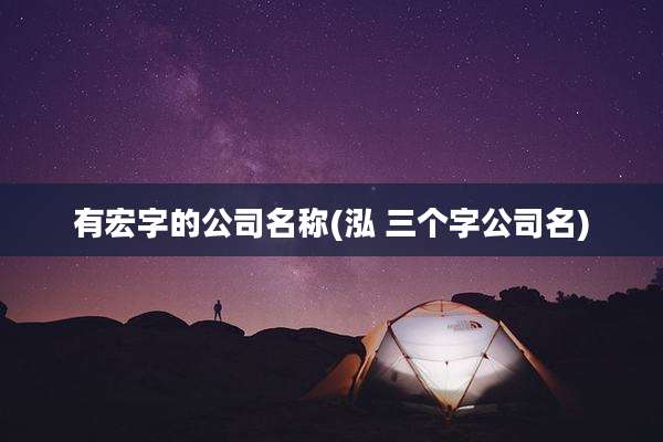 有宏字的公司名称(泓 三个字公司名)