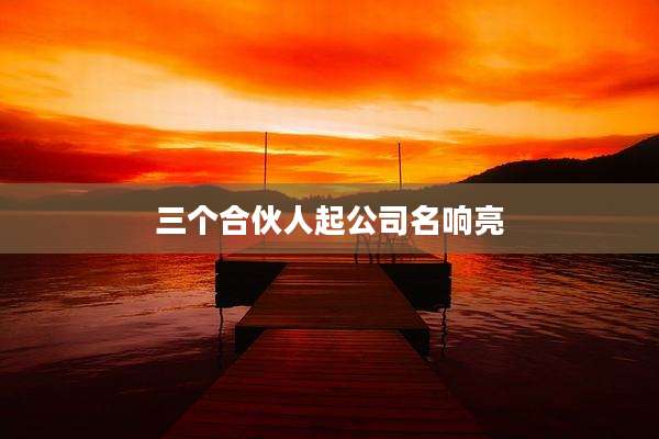 三个合伙人起公司名响亮