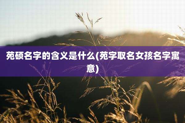 苑硕名字的含义是什么(苑字取名女孩名字寓意)
