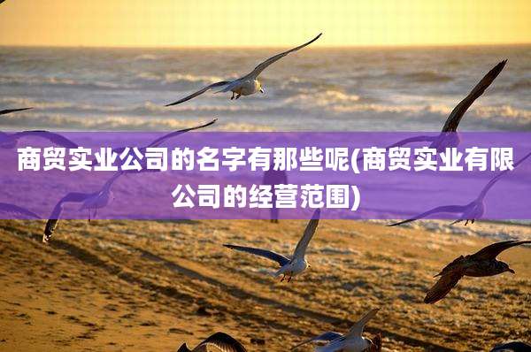 商贸实业公司的名字有那些呢(商贸实业有限公司的经营范围)