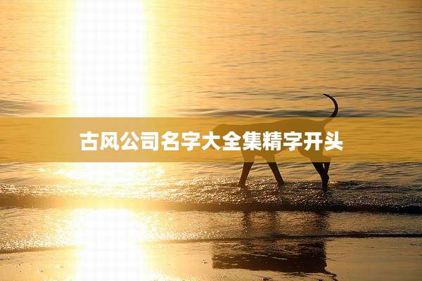 古风公司名字大全集精字开头