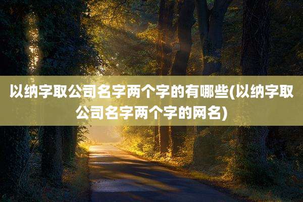以纳字取公司名字两个字的有哪些(以纳字取公司名字两个字的网名)