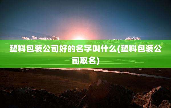 塑料包装公司好的名字叫什么(塑料包装公司取名)