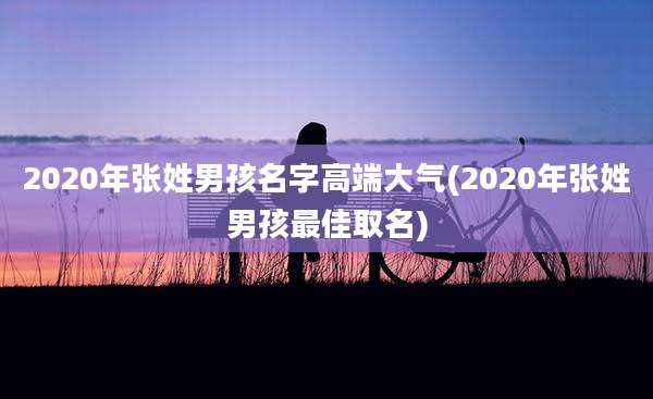2020年张姓男孩名字高端大气(2020年张姓男孩最佳取名)