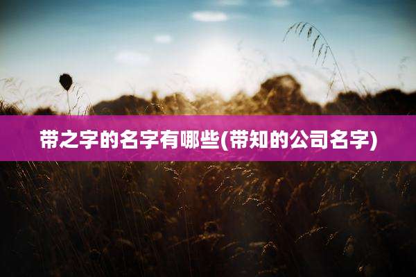 带之字的名字有哪些(带知的公司名字)