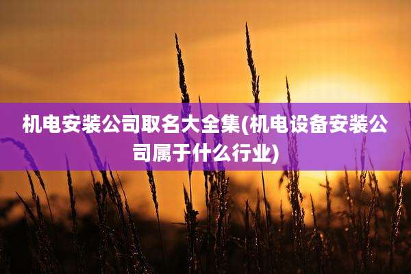 机电安装公司取名大全集(机电设备安装公司属于什么行业)
