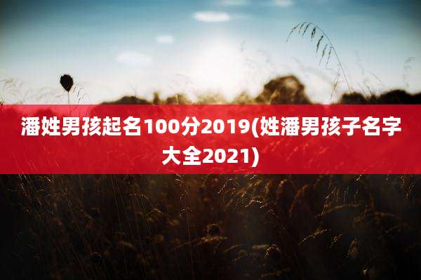 潘姓男孩起名100分2019(姓潘男孩子名字大全2021)