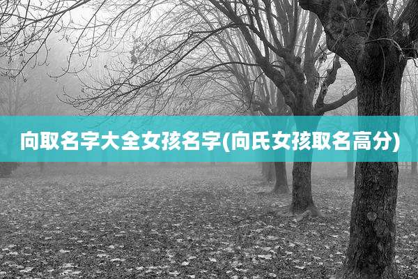 向取名字大全女孩名字(向氏女孩取名高分)