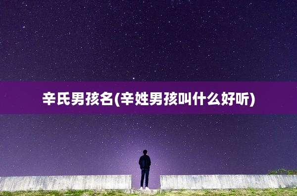 辛氏男孩名(辛姓男孩叫什么好听)