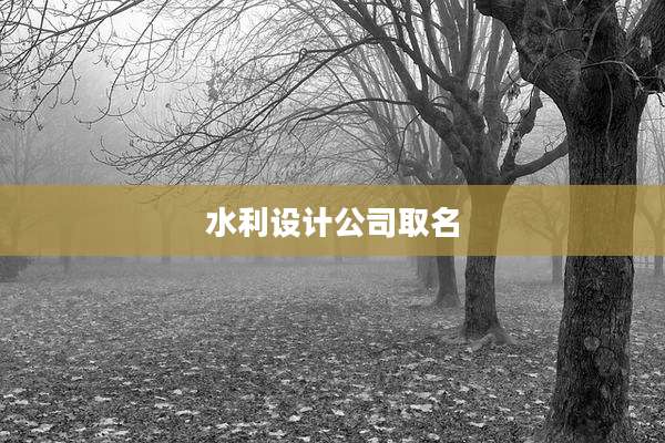 水利设计公司取名