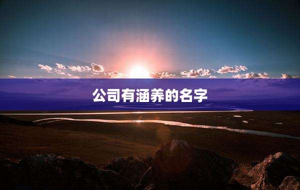 公司有涵养的名字