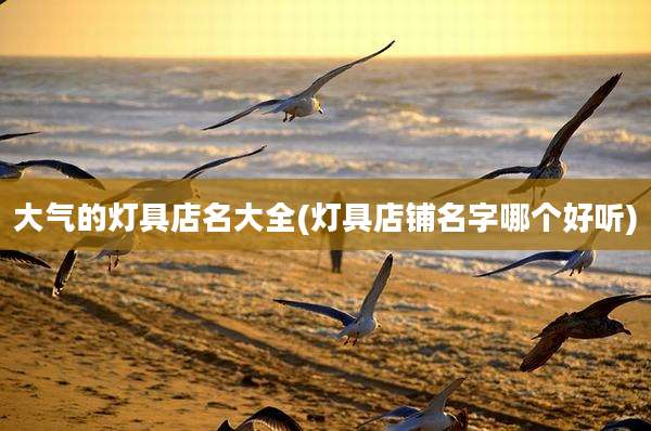 大气的灯具店名大全(灯具店铺名字哪个好听)
