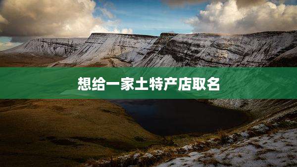 想给一家土特产店取名