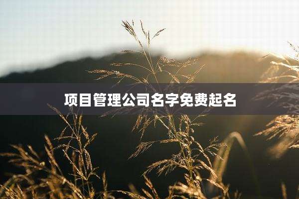 项目管理公司名字免费起名