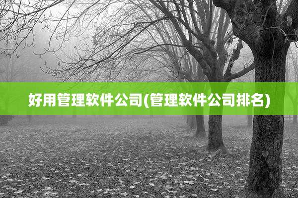 好用管理软件公司(管理软件公司排名)