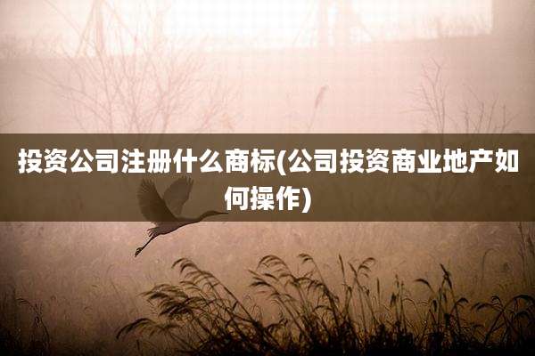 投资公司注册什么商标(公司投资商业地产如何操作)