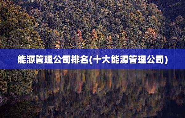 能源管理公司排名(十大能源管理公司)