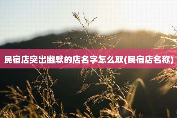 民宿店突出幽默的店名字怎么取(民宿店名称)