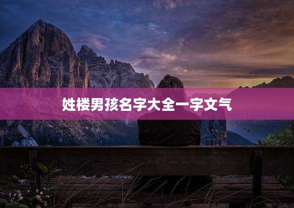 姓楼男孩名字大全一字文气