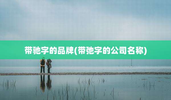 带驰字的品牌(带弛字的公司名称)
