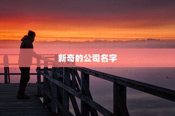 新奇的公司名字
