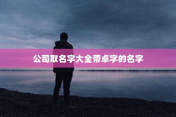 公司取名字大全带卓字的名字
