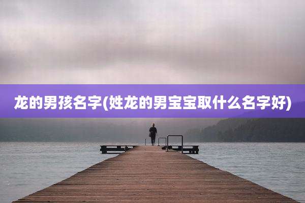 龙的男孩名字(姓龙的男宝宝取什么名字好)