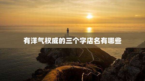 有洋气权威的三个字店名有哪些