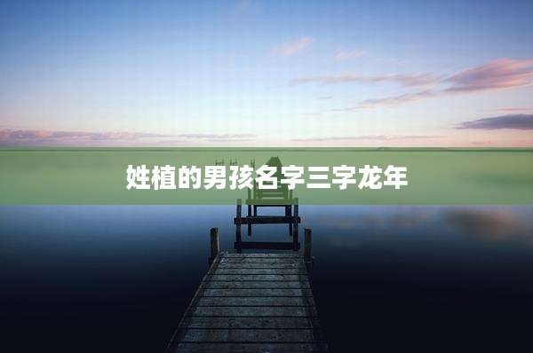 姓植的男孩名字三字龙年