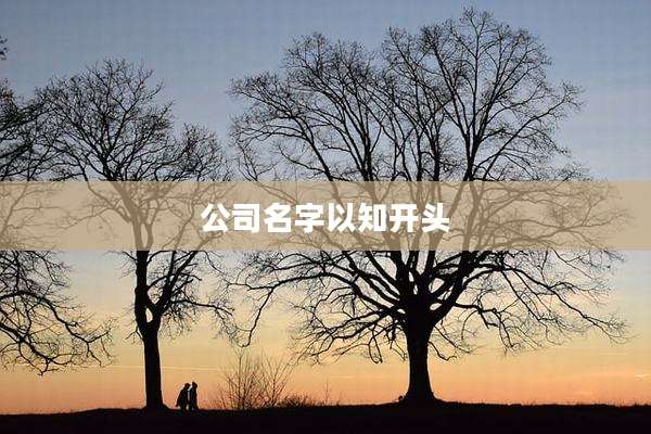公司名字以知开头