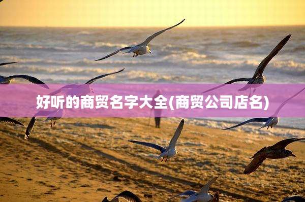 好听的商贸名字大全(商贸公司店名)