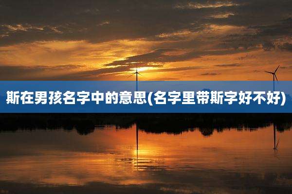 斯在男孩名字中的意思(名字里带斯字好不好)