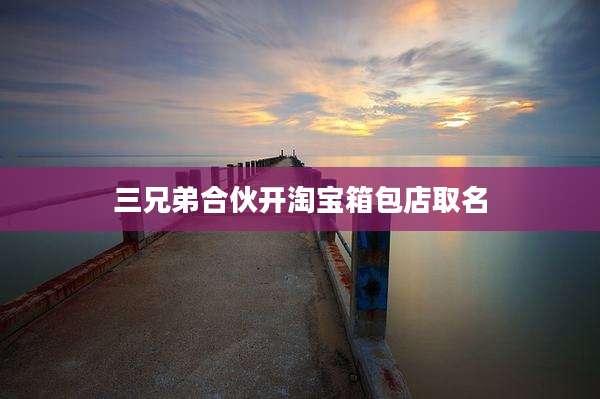 三兄弟合伙开淘宝箱包店取名