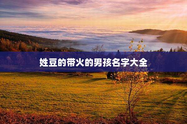 姓豆的带火的男孩名字大全