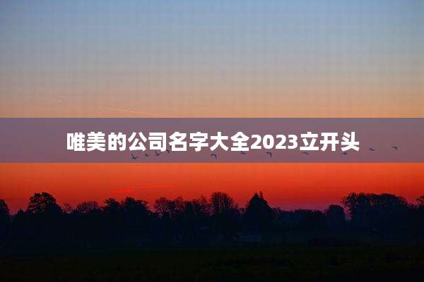 唯美的公司名字大全2023立开头