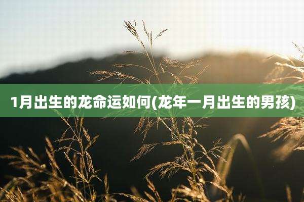 1月出生的龙命运如何(龙年一月出生的男孩)