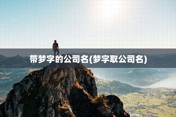带梦字的公司名(梦字取公司名)