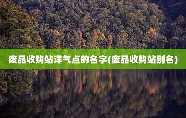 废品收购站洋气点的名字(废品收购站别名)