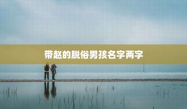 带赵的脱俗男孩名字两字