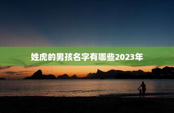 姓虎的男孩名字有哪些2023年