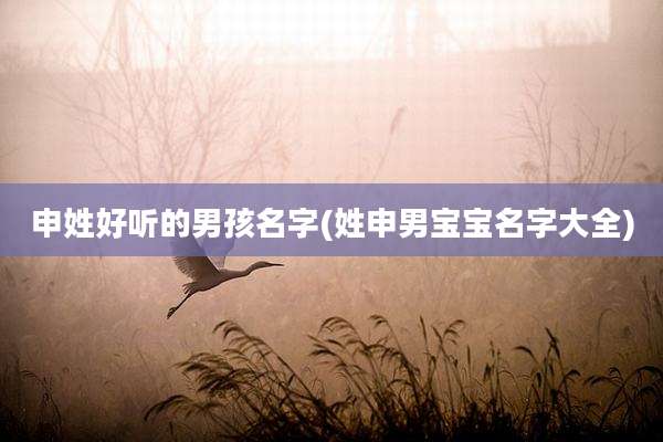 申姓好听的男孩名字(姓申男宝宝名字大全)