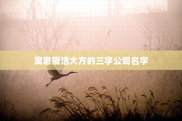 寓意简洁大方的三字公司名字