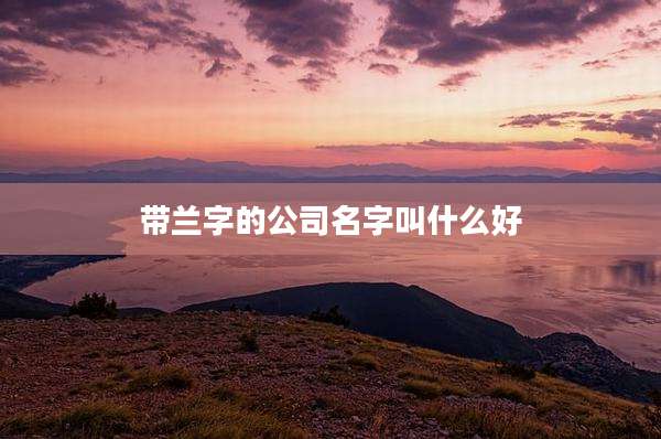 带兰字的公司名字叫什么好