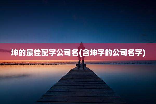 坤的最佳配字公司名(含坤字的公司名字)