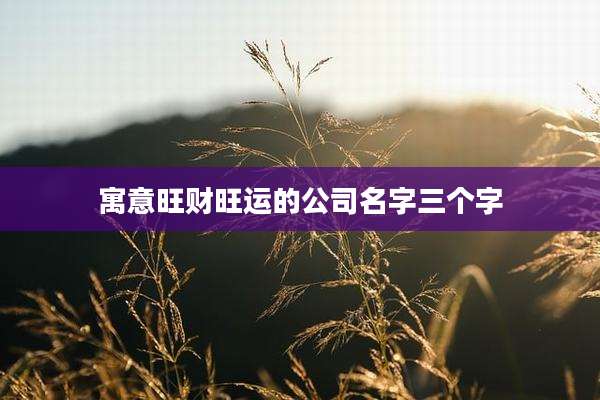 寓意旺财旺运的公司名字三个字