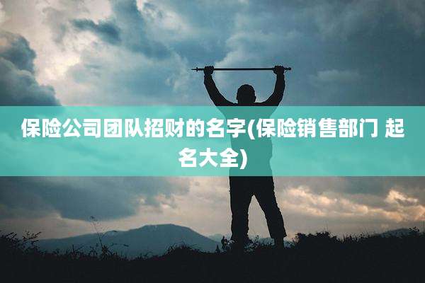 保险公司团队招财的名字(保险销售部门 起名大全)