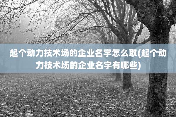 起个动力技术场的企业名字怎么取(起个动力技术场的企业名字有哪些)